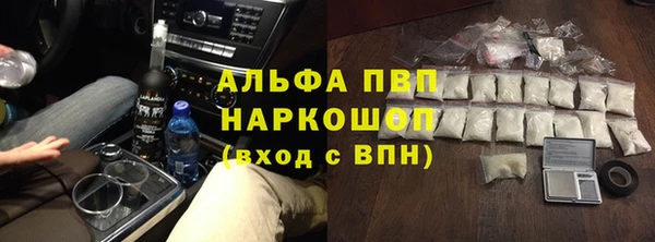 стаф Дмитровск