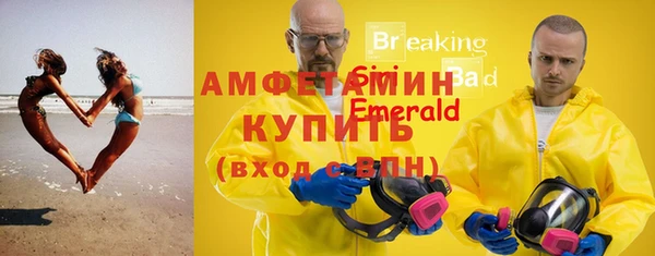 стаф Дмитровск