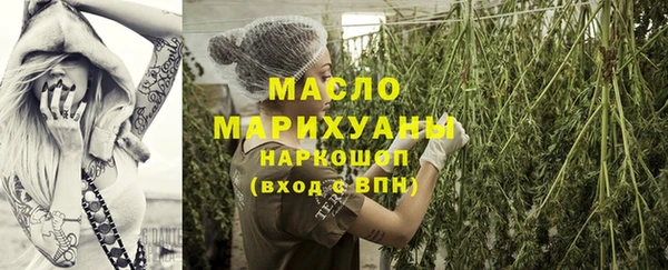 стаф Дмитровск