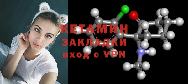 стаф Дмитровск