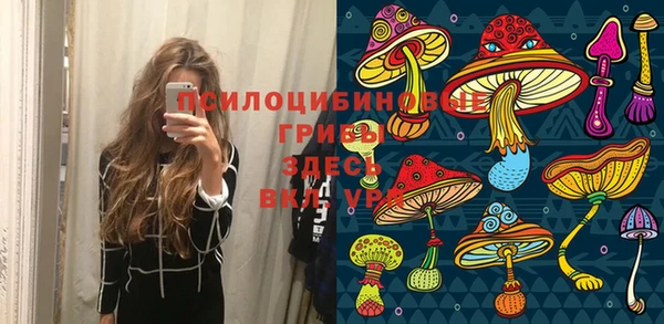 герыч Елизово