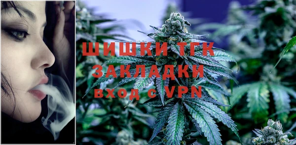 ALPHA PVP Ельня