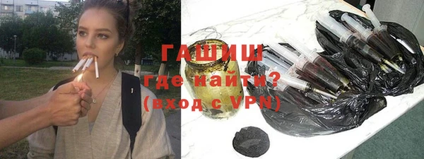 стаф Дмитровск