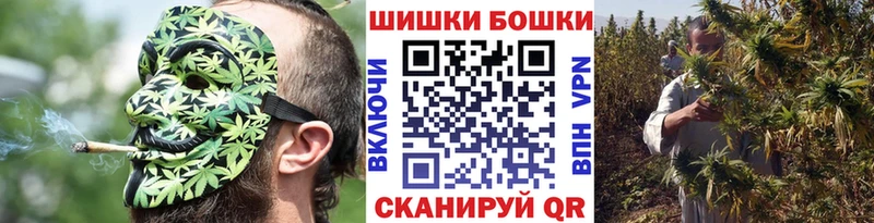 Бошки марихуана индика  Купить закладки  Володарск 